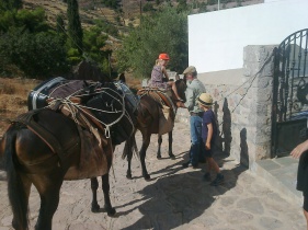 Muldyrdriver Christos kan læsse både børn og bagage !